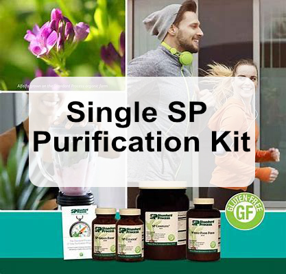 Single SP Purification Kit